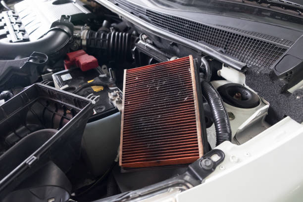 EGR Filter System